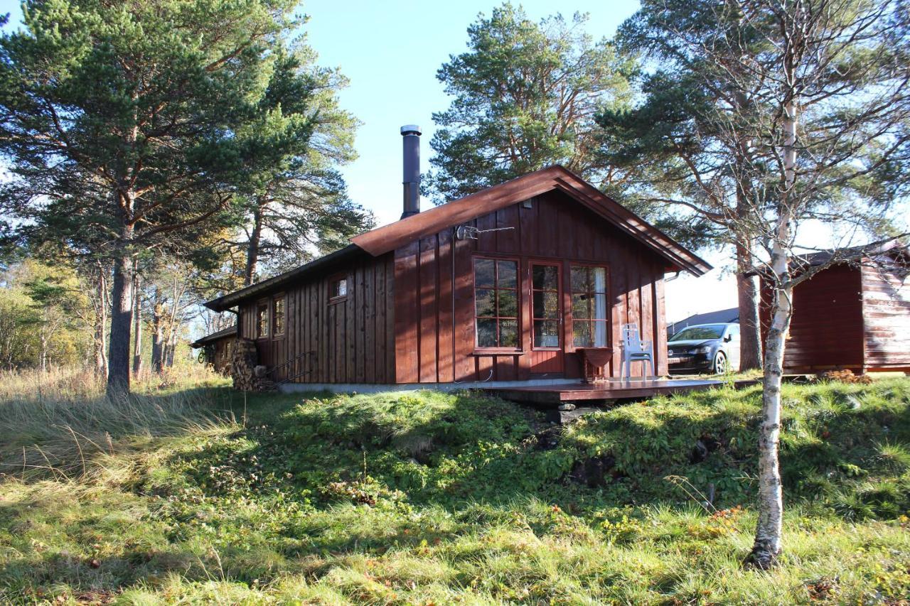 Adnebu By Norgesbooking - Cabin With 3 Bedrooms Geilo Ngoại thất bức ảnh